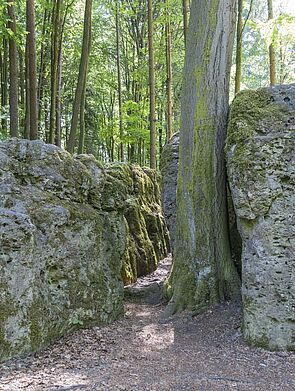 csm_2023-06-17_105326_3c9d190a3b.jpg