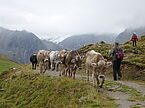 csm_DSC02845_626a40d9c1.jpg