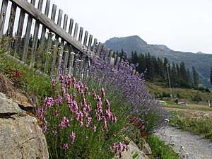 csm_DSC08207_fa7f5adf6f.jpg