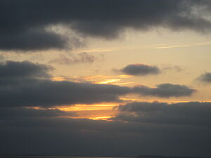csm_IMG_1855_1d7221ad88.jpg