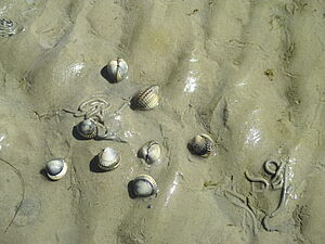 csm_IMG_1866_83c9d9b4ac.jpg