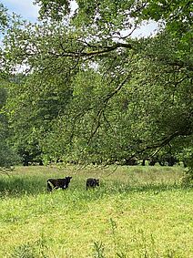 csm_IMG_1889_d2308bcd90.jpg