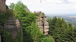 csm_R-_IMG_0997__abf63f5f3f.jpg