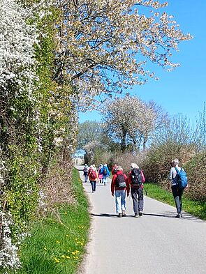 csm_32013_e76822d040.jpg